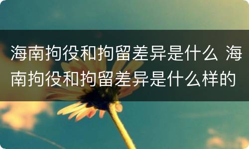 海南拘役和拘留差异是什么 海南拘役和拘留差异是什么样的