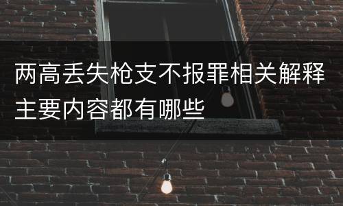 两高丢失枪支不报罪相关解释主要内容都有哪些