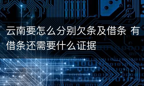 云南要怎么分别欠条及借条 有借条还需要什么证据