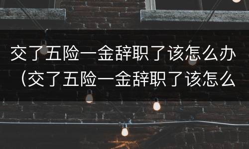 交了五险一金辞职了该怎么办（交了五险一金辞职了该怎么办理）