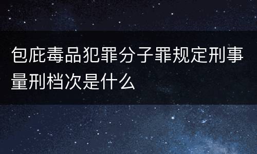 包庇毒品犯罪分子罪规定刑事量刑档次是什么