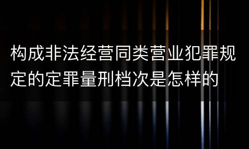 构成非法经营同类营业犯罪规定的定罪量刑档次是怎样的