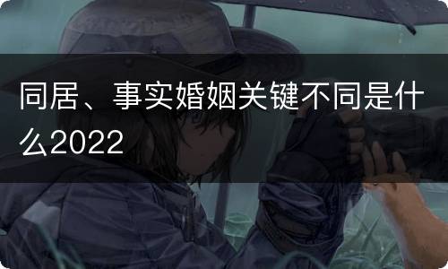 同居、事实婚姻关键不同是什么2022