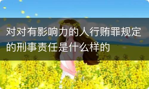 对对有影响力的人行贿罪规定的刑事责任是什么样的