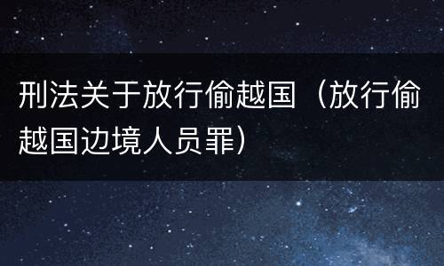 刑法关于放行偷越国（放行偷越国边境人员罪）