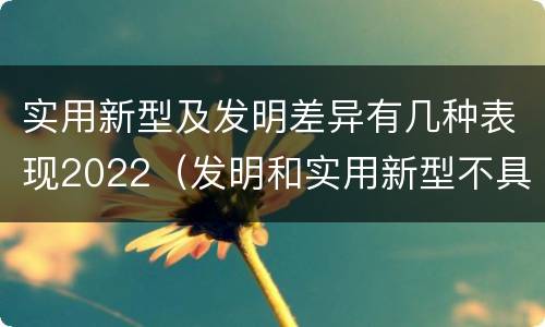 实用新型及发明差异有几种表现2022（发明和实用新型不具有什么特性）