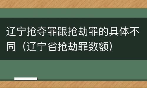 辽宁抢夺罪跟抢劫罪的具体不同（辽宁省抢劫罪数额）