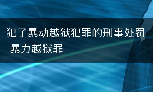 犯了暴动越狱犯罪的刑事处罚 暴力越狱罪