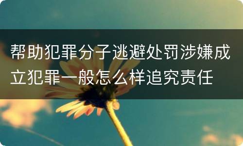 帮助犯罪分子逃避处罚涉嫌成立犯罪一般怎么样追究责任