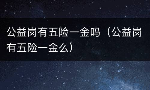 公益岗有五险一金吗（公益岗有五险一金么）