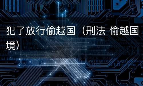 犯了放行偷越国（刑法 偷越国境）