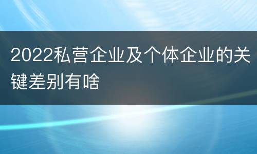 2022私营企业及个体企业的关键差别有啥