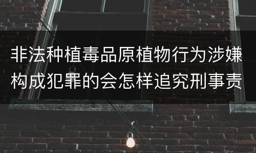 非法种植毒品原植物行为涉嫌构成犯罪的会怎样追究刑事责任