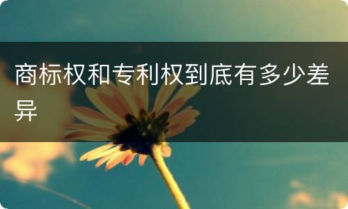 商标权和专利权到底有多少差异