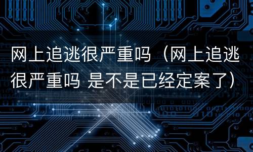 网上追逃很严重吗（网上追逃很严重吗 是不是已经定案了）