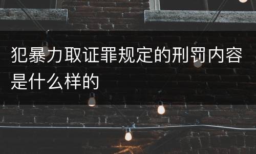 犯暴力取证罪规定的刑罚内容是什么样的