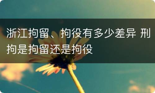浙江拘留、拘役有多少差异 刑拘是拘留还是拘役