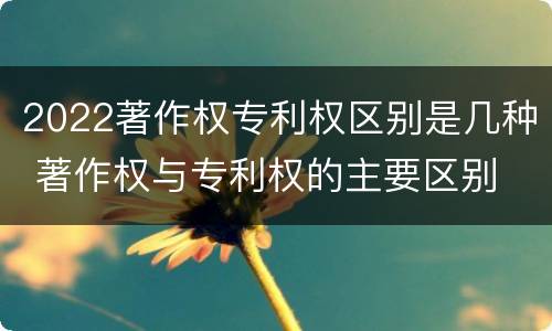 2022著作权专利权区别是几种 著作权与专利权的主要区别