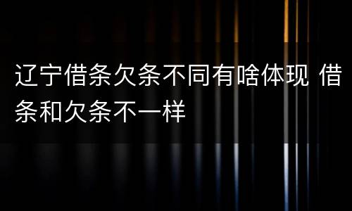 辽宁借条欠条不同有啥体现 借条和欠条不一样