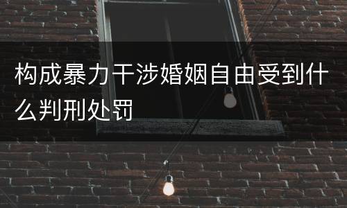 构成暴力干涉婚姻自由受到什么判刑处罚