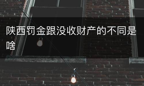 陕西罚金跟没收财产的不同是啥