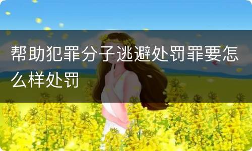 帮助犯罪分子逃避处罚罪要怎么样处罚