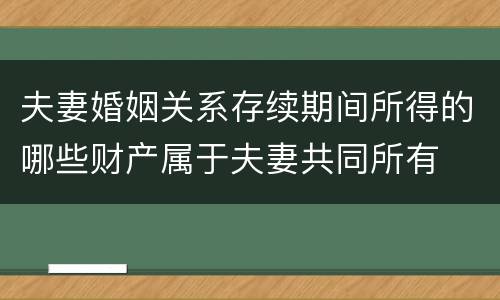 夫妻婚姻关系存续期间所得的哪些财产属于夫妻共同所有