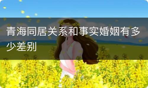 青海同居关系和事实婚姻有多少差别
