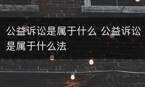 公益诉讼是属于什么 公益诉讼是属于什么法