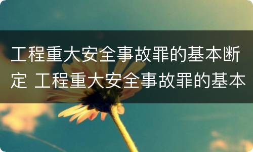 工程重大安全事故罪的基本断定 工程重大安全事故罪的基本断定是