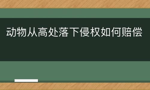 动物从高处落下侵权如何赔偿