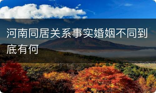 河南同居关系事实婚姻不同到底有何