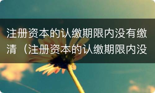 注册资本的认缴期限内没有缴清（注册资本的认缴期限内没有缴清会怎么样）