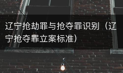 辽宁抢劫罪与抢夺罪识别（辽宁抢夺罪立案标准）