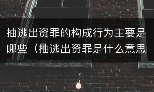 抽逃出资罪的构成行为主要是哪些（抽逃出资罪是什么意思）