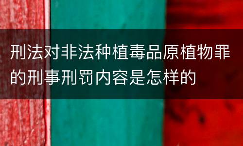 刑法对非法种植毒品原植物罪的刑事刑罚内容是怎样的