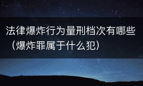 法律爆炸行为量刑档次有哪些（爆炸罪属于什么犯）