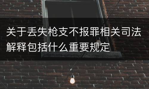 关于丢失枪支不报罪相关司法解释包括什么重要规定