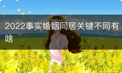 2022事实婚姻同居关键不同有啥