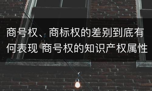 商号权、商标权的差别到底有何表现 商号权的知识产权属性