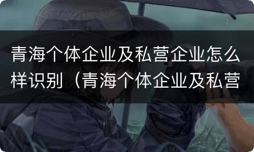 青海个体企业及私营企业怎么样识别（青海个体企业及私营企业怎么样识别真假）