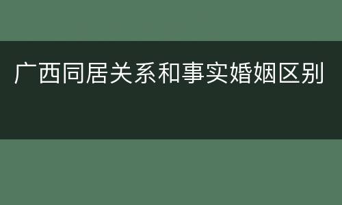广西同居关系和事实婚姻区别