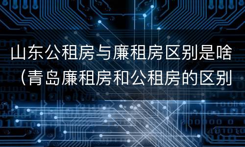 山东公租房与廉租房区别是啥（青岛廉租房和公租房的区别）