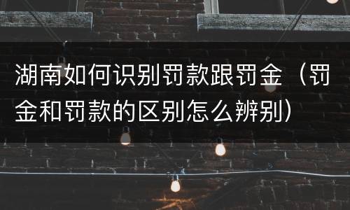 湖南如何识别罚款跟罚金（罚金和罚款的区别怎么辨别）