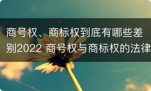 商号权、商标权到底有哪些差别2022 商号权与商标权的法律冲突与解决
