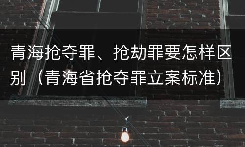 青海抢夺罪、抢劫罪要怎样区别（青海省抢夺罪立案标准）