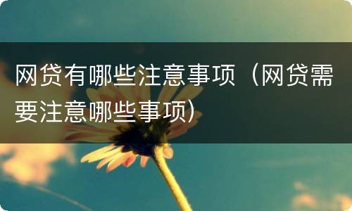 网贷有哪些注意事项（网贷需要注意哪些事项）