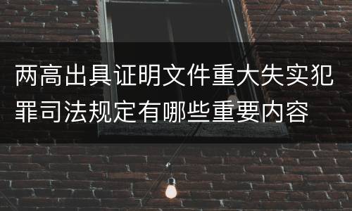 两高出具证明文件重大失实犯罪司法规定有哪些重要内容