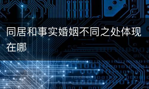 同居和事实婚姻不同之处体现在哪