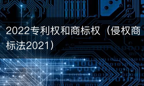 2022专利权和商标权（侵权商标法2021）